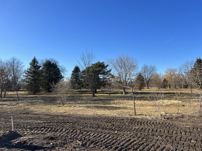 Romeo Golf & Country Club - Course Jan 14 2023 (newer photo)